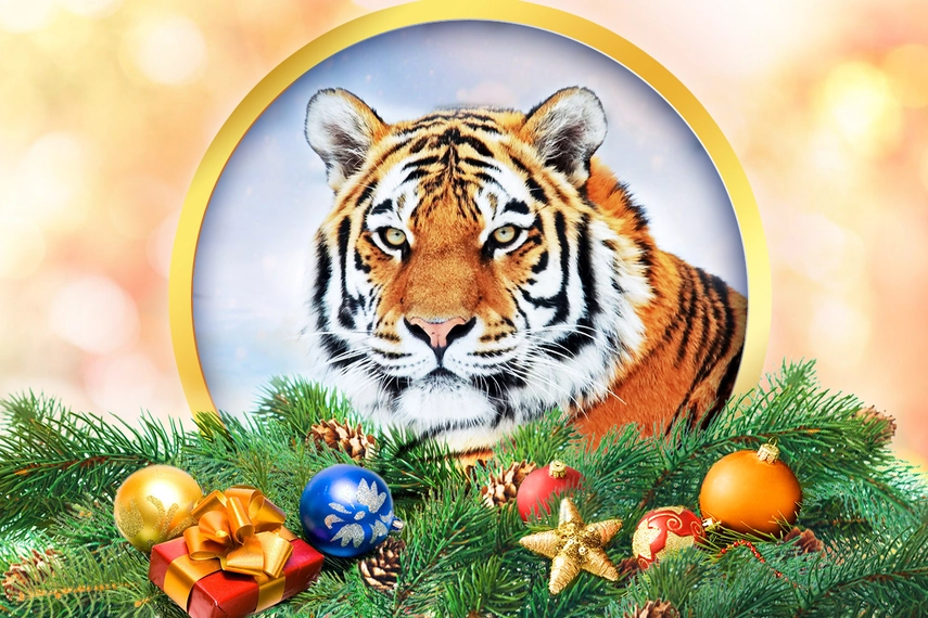 С Новым годом!